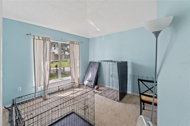 1305 Rebecca Dr, Haines City, FL 33844 - unfurnished bedroom with carpet floors and a textured ceiling