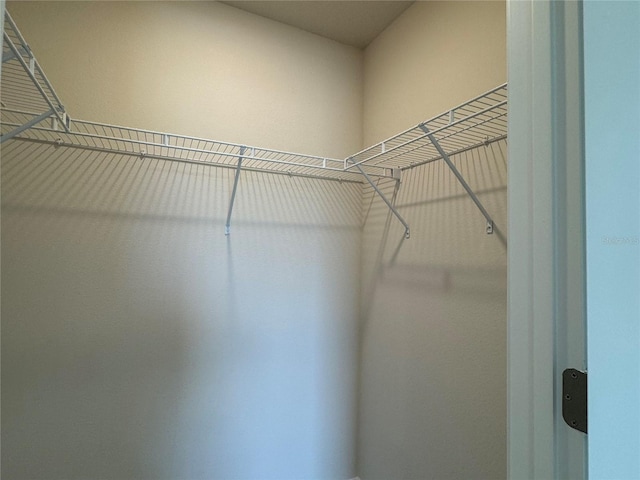 4101 Sagefield Dr, Harmony, FL 34773 - view of walk in closet