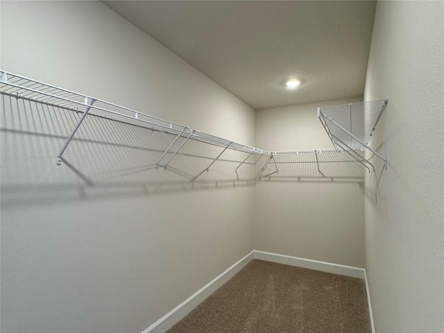 4101 Sagefield Dr, Harmony, FL 34773 - spacious closet featuring carpet flooring