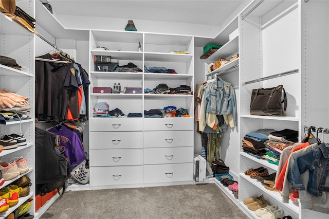 4491 Holstein St, Saint Cloud, FL 34772 - walk in closet featuring carpet flooring