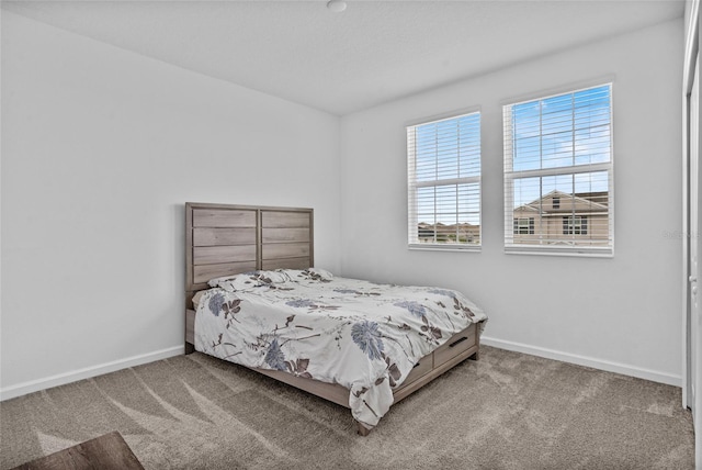 4491 Holstein St, Saint Cloud, FL 34772 - bedroom with carpet floors and baseboards