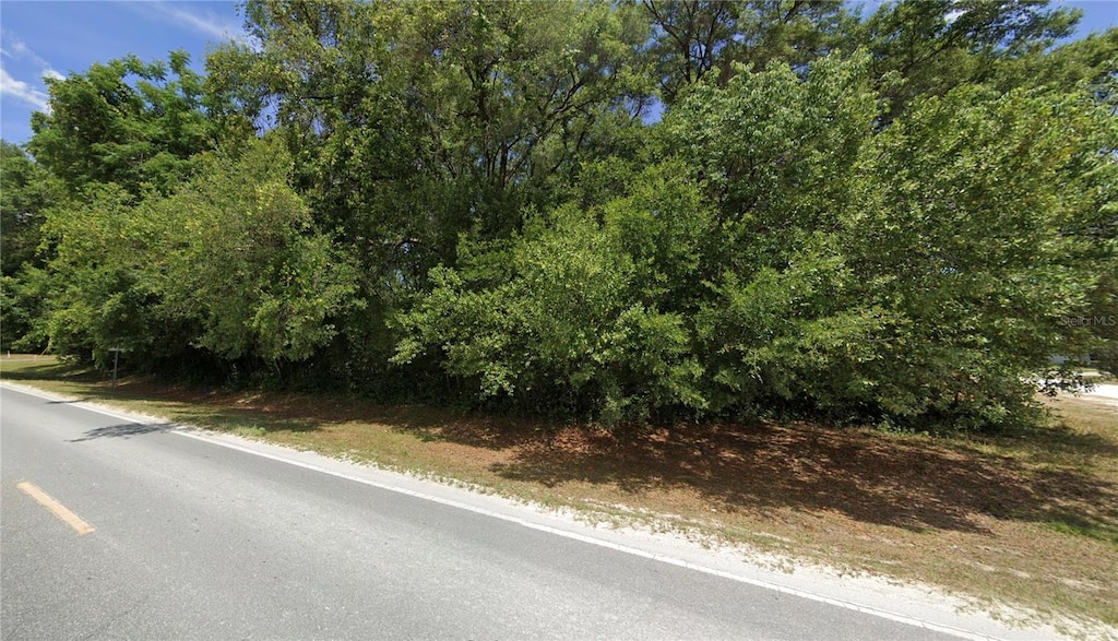 SE 140th Pl, Summerfield, FL 34491 - photo 2