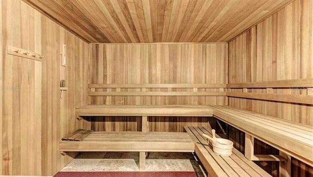 20080 Ragazza Cir Unit 102, Venice, FL 34293 - sauna / steam room featuring wooden walls and wood ceiling