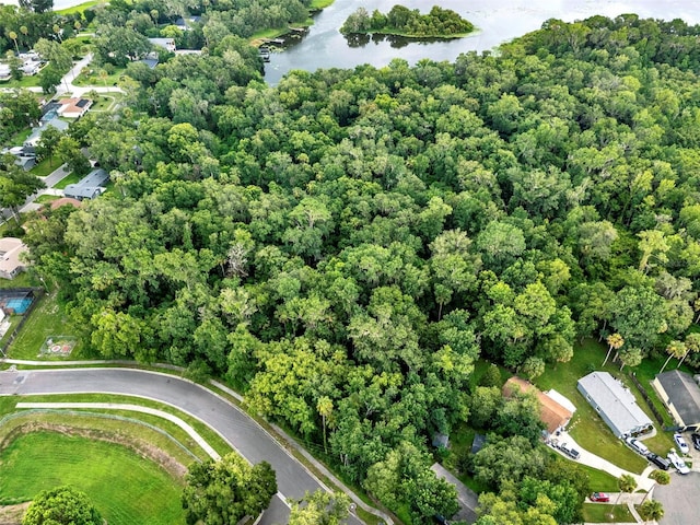 390 Lake Mccoy Dr, Apopka, FL 32712 - photo 15
