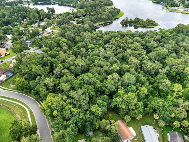 390 Lake Mccoy Dr, Apopka, FL 32712 - photo 14