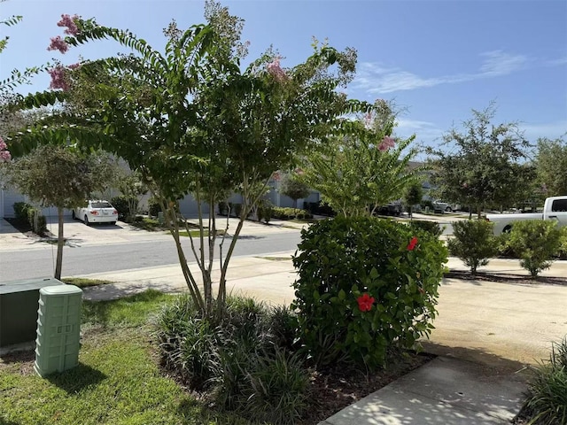 2602 Buena View Rd, Kissimmee, FL 34746 - view of asphalt street featuring sidewalks