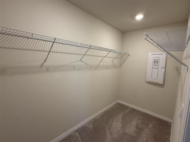 2602 Buena View Rd, Kissimmee, FL 34746 - spacious closet with carpet and electric panel