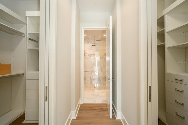 4162 Grande Brick Loop Unit 27, Orlando, FL 32837 - walk in closet featuring wood finished floors