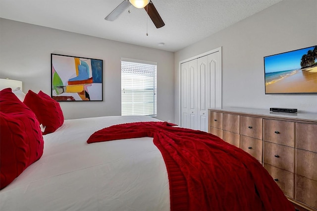8966 California Palm Rd, Kissimmee, FL 34747 - photo 55
