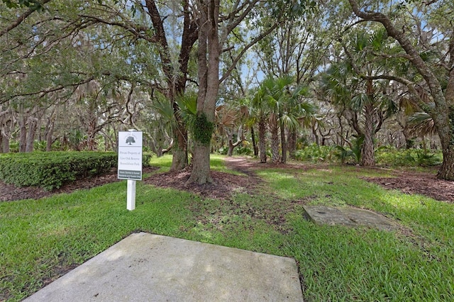 2534 Double Tree Pl, Oviedo, FL 32766 - view of green lawn
