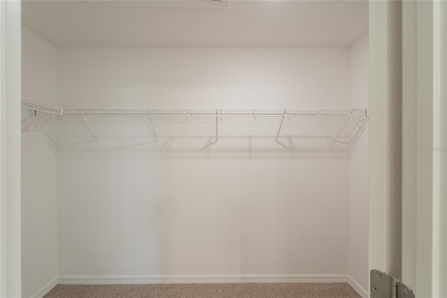 3840 Fescue St, Clermont, FL 34714 - walk in closet featuring carpet floors