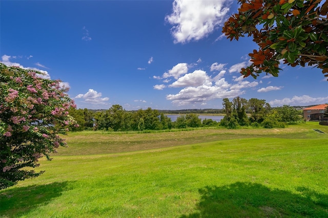 3546 Mediterra Dr, Clermont, FL 34711 - view of green lawn featuring a water view
