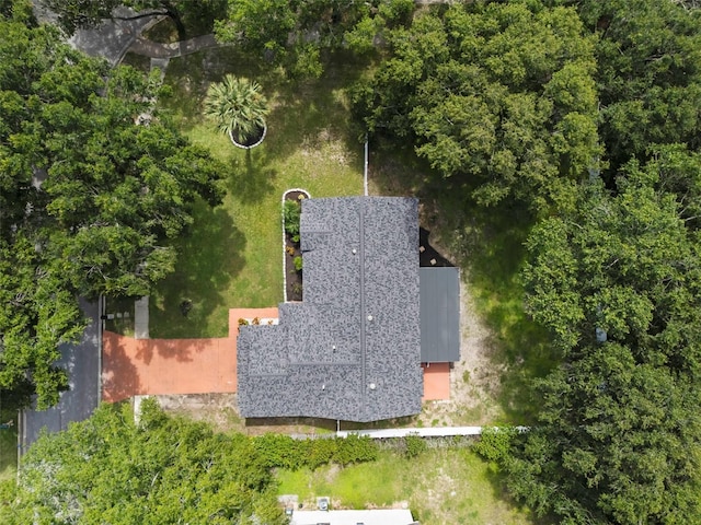 15718 Carriage Hill Ct, Clermont, FL 34711 - view of subject property