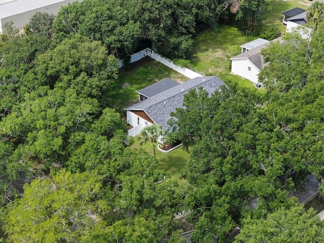 15718 Carriage Hill Ct, Clermont, FL 34711 - view from above of property