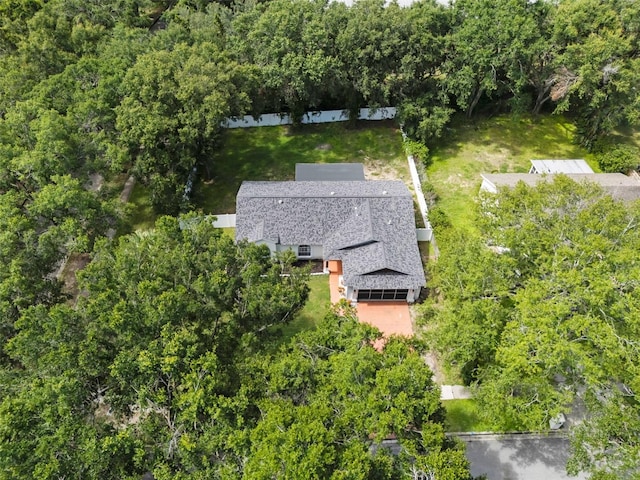 15718 Carriage Hill Ct, Clermont, FL 34711 - view of subject property