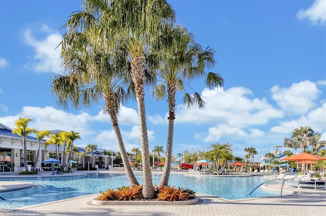 927 Paradise Dr, Davenport, FL 33897 - view of community pool