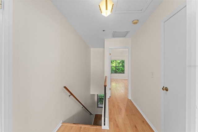 641 Northbridge Dr, Altamonte Springs, FL 32714 - photo 24