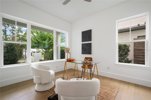 1840 Biscayne Dr, Winter Park, FL 32789 - photo 6