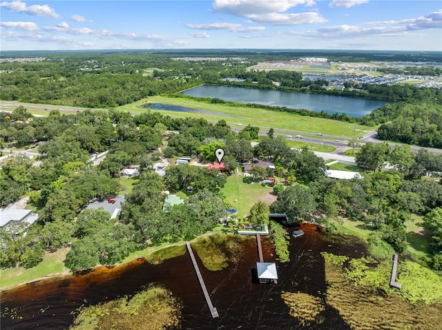 5868 Alligator Lake Shr W, Saint Cloud, FL 34771 - photo 58