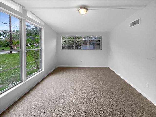 425 S Riverhills Dr, Temple Terrace, FL 33617 - photo 12