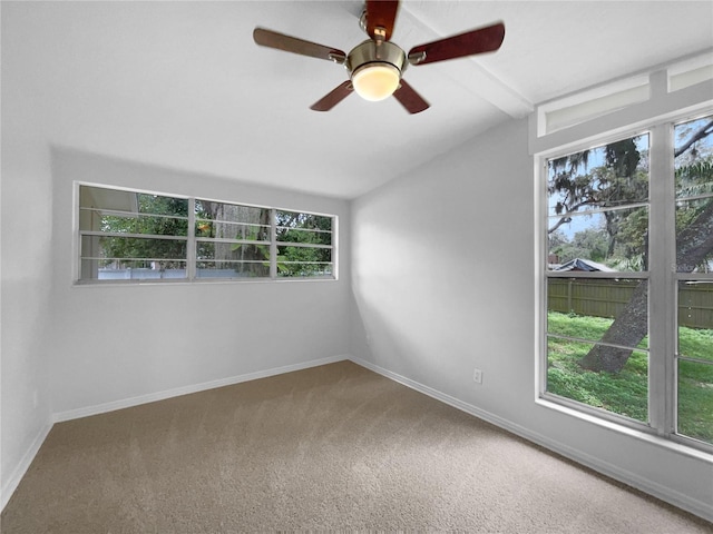 425 S Riverhills Dr, Temple Terrace, FL 33617 - photo 19