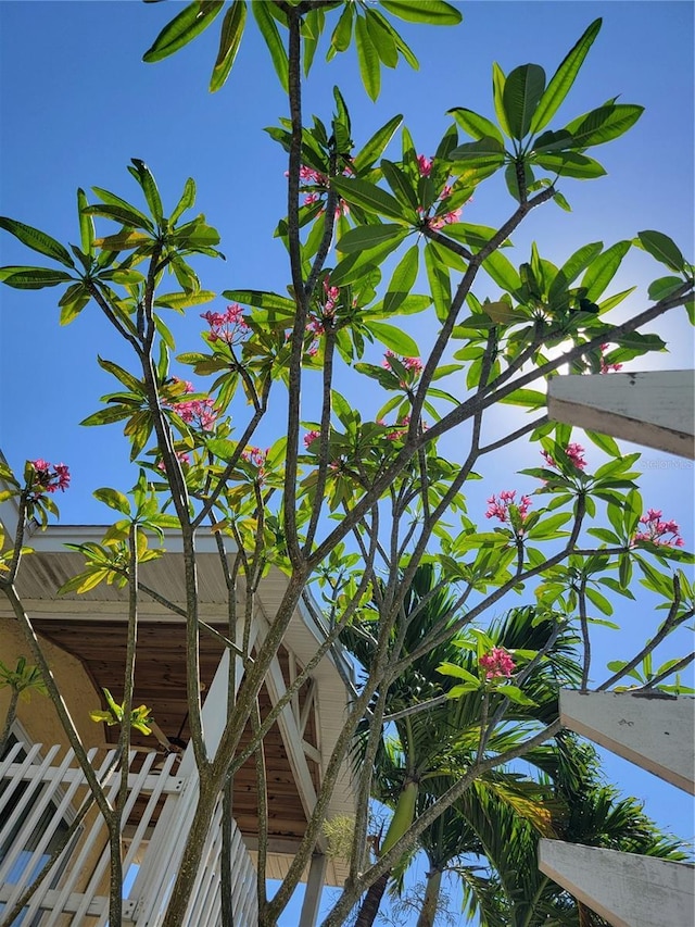 686 S Atlantic Ave Unit 1-8, Cocoa Beach, FL 32931 - exterior view