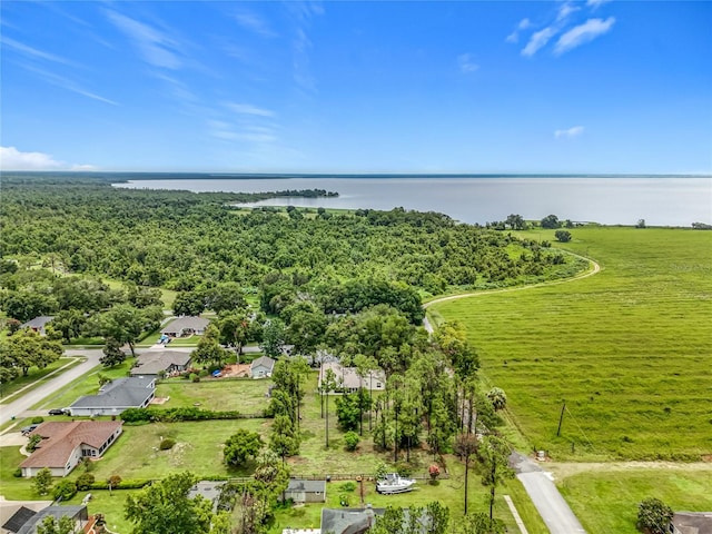 16634 Pine Timber Ave, Montverde, FL 34756 - drone / aerial view of a large body of water and a heavily wooded area