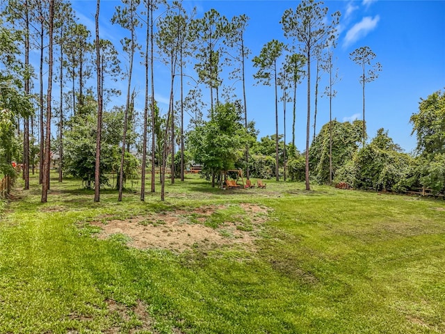 16634 Pine Timber Ave, Montverde, FL 34756 - view of green lawn