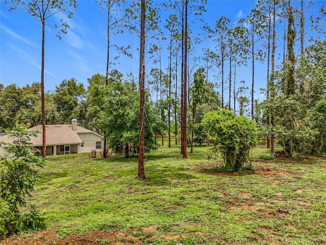 16634 Pine Timber Ave, Montverde, FL 34756 - view of green lawn