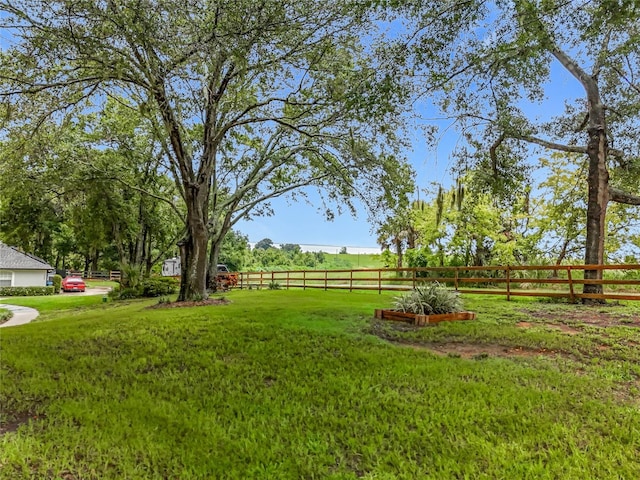 16634 Pine Timber Ave, Montverde, FL 34756 - view of yard