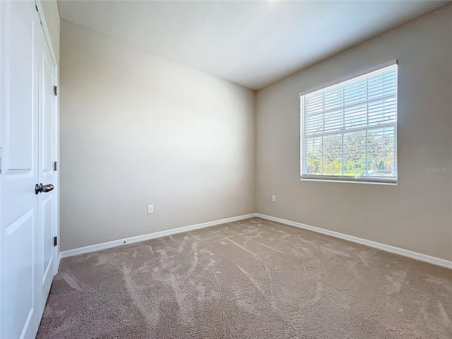 3508 Crescent Peak Way, Plant City, FL 33565 - photo 25