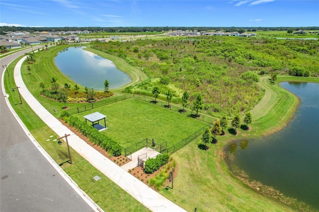 3508 Crescent Peak Way, Plant City, FL 33565 - photo 63