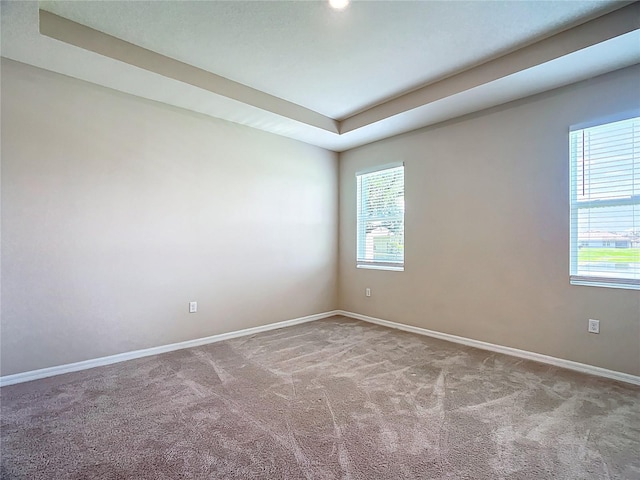 3508 Crescent Peak Way, Plant City, FL 33565 - photo 29