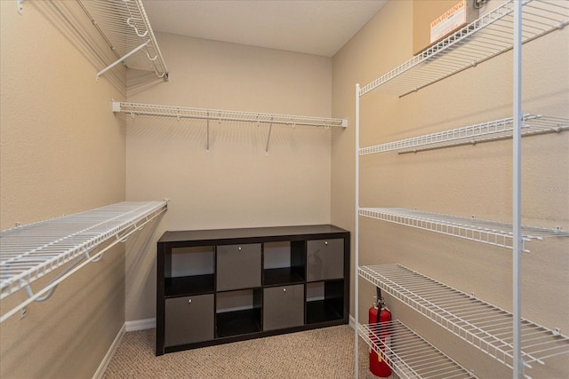5072 Cypress Branch Pt, Oviedo, FL 32765 - spacious closet with light carpet