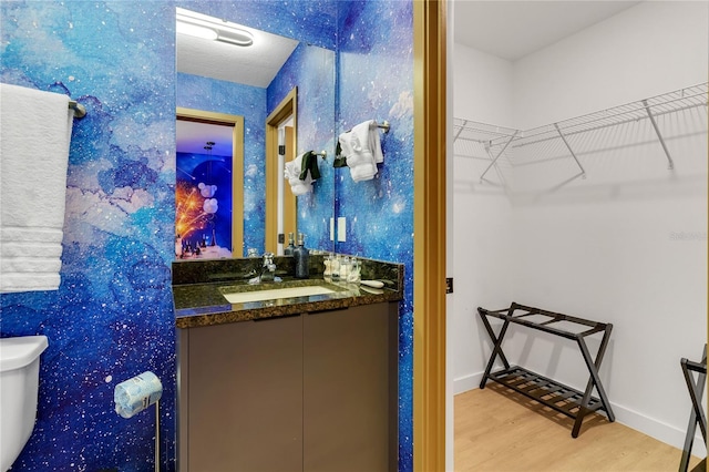 3292 Tranquil Trl, Kissimmee, FL 34747 - bathroom featuring wood finished floors, vanity, and a spacious closet
