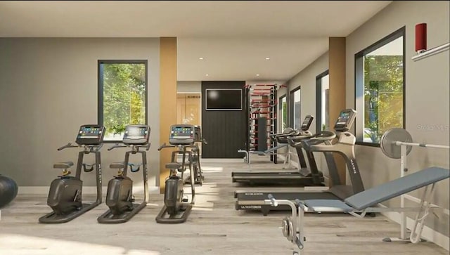 3292 Tranquil Trl, Kissimmee, FL 34747 - exercise room with wood finished floors and plenty of natural light