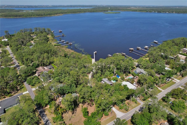 13959 Marine Dr, Orlando, FL 32832 - photo 56