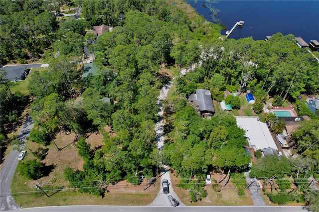13959 Marine Dr, Orlando, FL 32832 - photo 57