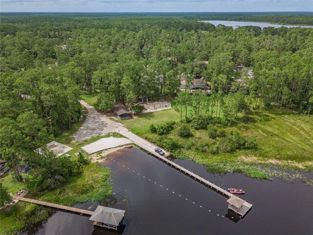 13959 Marine Dr, Orlando, FL 32832 - photo 59
