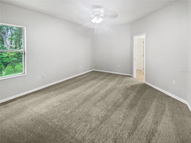 6303 Twin Bridges Dr, Zephyrhills, FL 33541 - unfurnished room with carpet and a ceiling fan