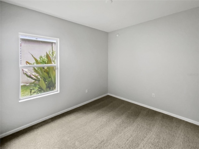 6303 Twin Bridges Dr, Zephyrhills, FL 33541 - empty room with carpet flooring and baseboards