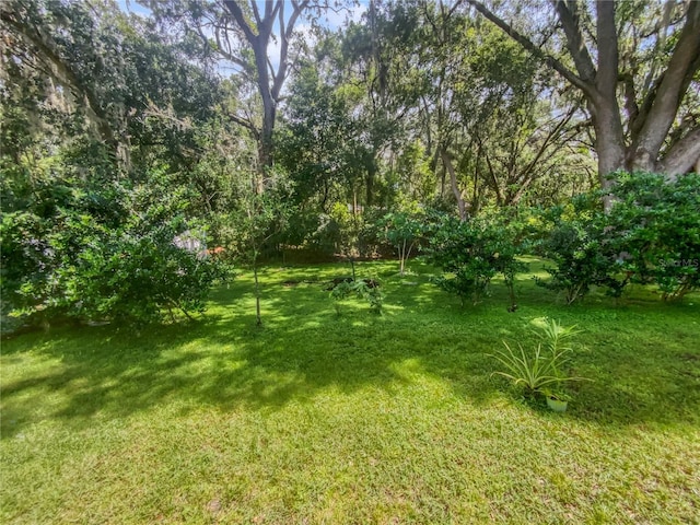 6303 Twin Bridges Dr, Zephyrhills, FL 33541 - view of green lawn