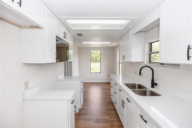 19402 E 5th St, Umatilla, FL 32784 - kitchen featuring wood finished floors, healthy amount of natural light, light countertops, and white cabinets