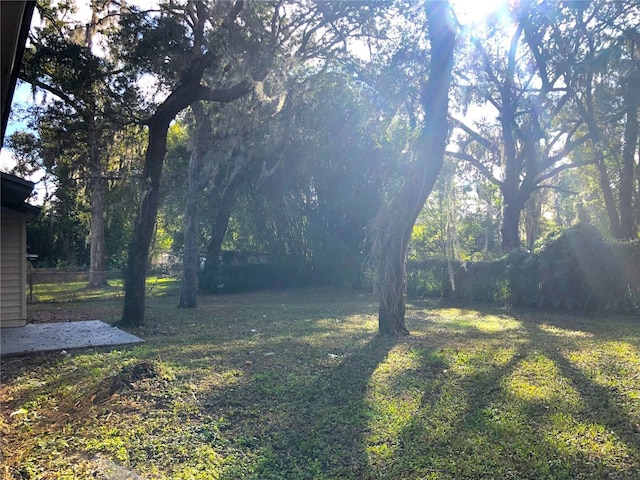 348 E Palmetto Ave, Longwood, FL 32750 - photo 10