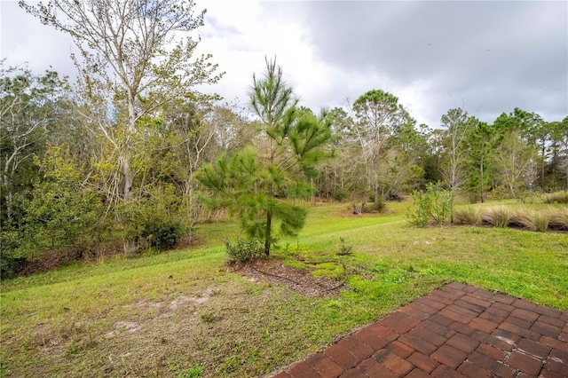3116 Oxbow Ct, Saint Cloud, FL 34773 - photo 11