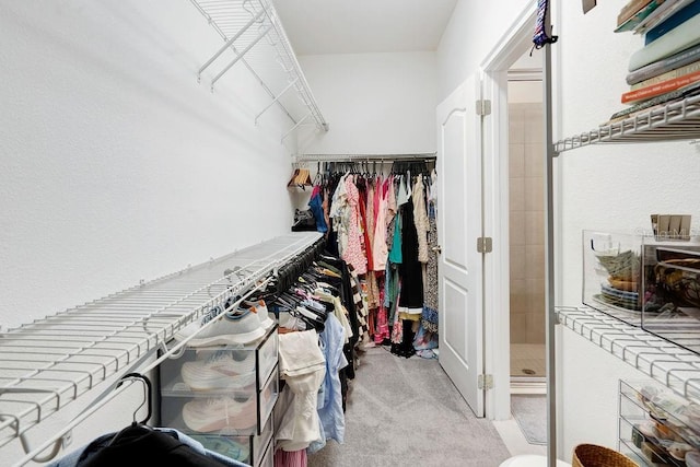 1193 Woods Landing Dr, Minneola, FL 34715 - spacious closet with light colored carpet