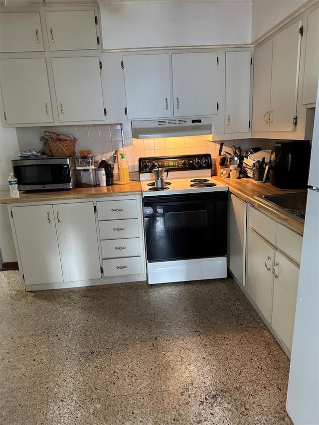511 Pilaklakaha Ave, Auburndale, FL 33823 - kitchen with electric range, stainless steel microwave, under cabinet range hood, and decorative backsplash