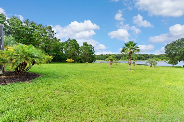 10701 Dark Water Ct, Clermont, FL 34715 - photo 34