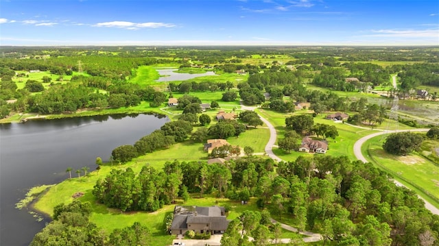 10701 Dark Water Ct, Clermont, FL 34715 - photo 44