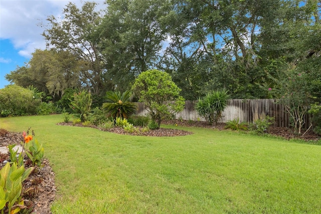 6029 Falconbridge Pl, Mount Dora, FL 32757 - view of yard